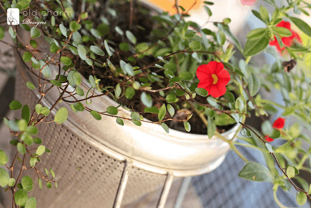 Food Mill Planter via Inspired by Charm