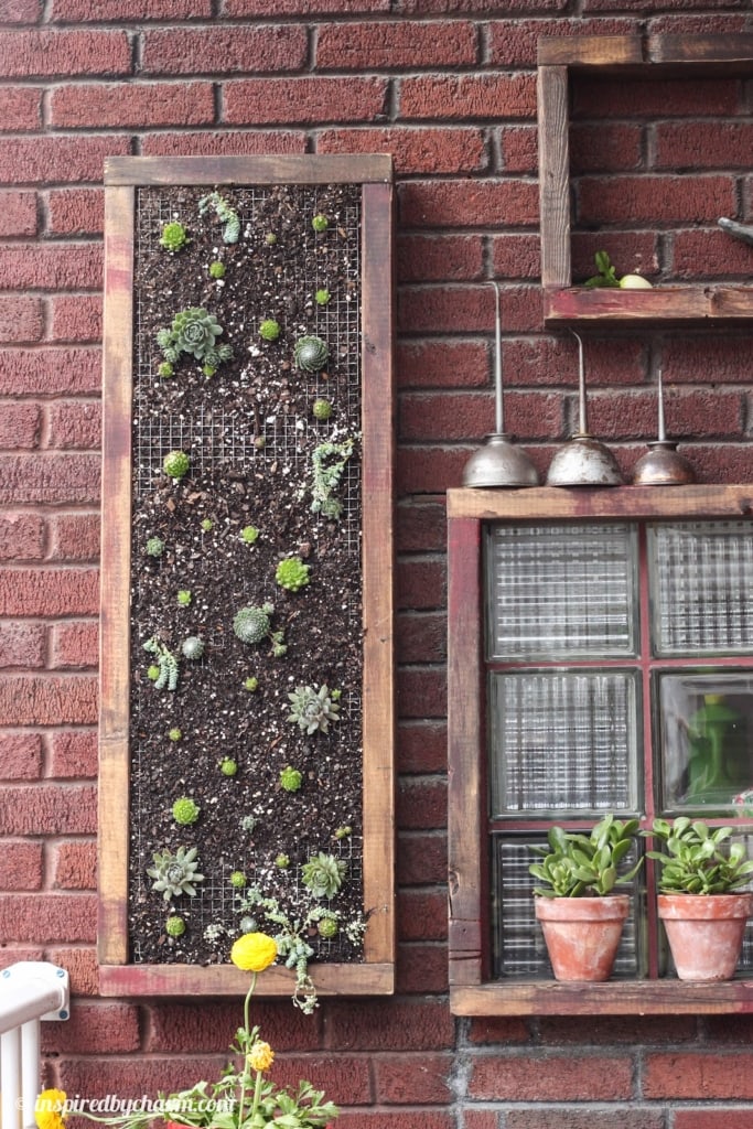 Hens and Chicks Wall Planter via Inspired by Charm